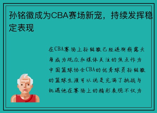 孙铭徽成为CBA赛场新宠，持续发挥稳定表现