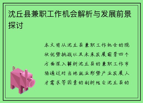沈丘县兼职工作机会解析与发展前景探讨