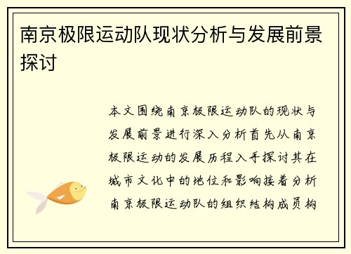 南京极限运动队现状分析与发展前景探讨