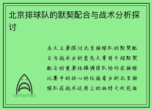 北京排球队的默契配合与战术分析探讨