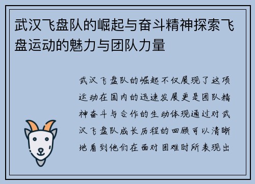 武汉飞盘队的崛起与奋斗精神探索飞盘运动的魅力与团队力量
